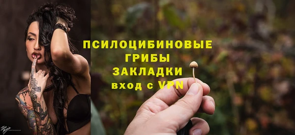 дмт Алзамай