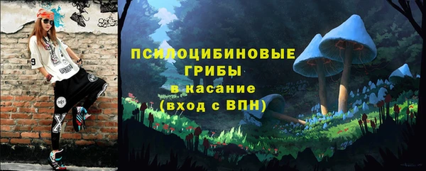дмт Алзамай